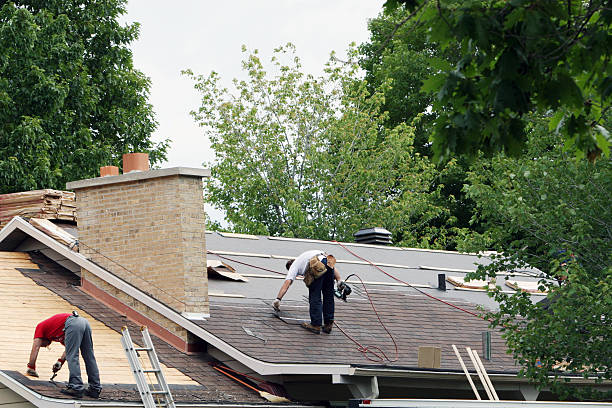 Best Roof Gutter Cleaning  in La Porte, IN